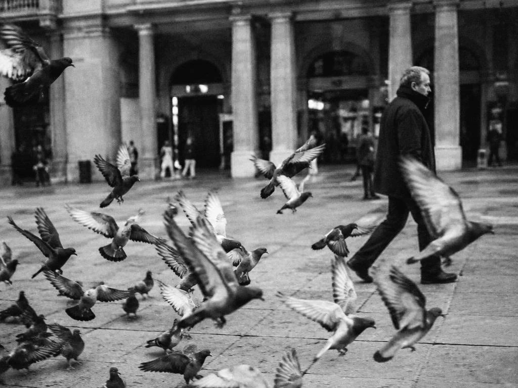Vuelo · Piazza San Carlo